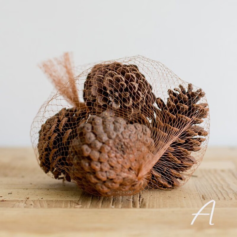 森林的礼物 果实装饰diy松果松塔树枝桂皮zakka道具 a大松塔4个一包