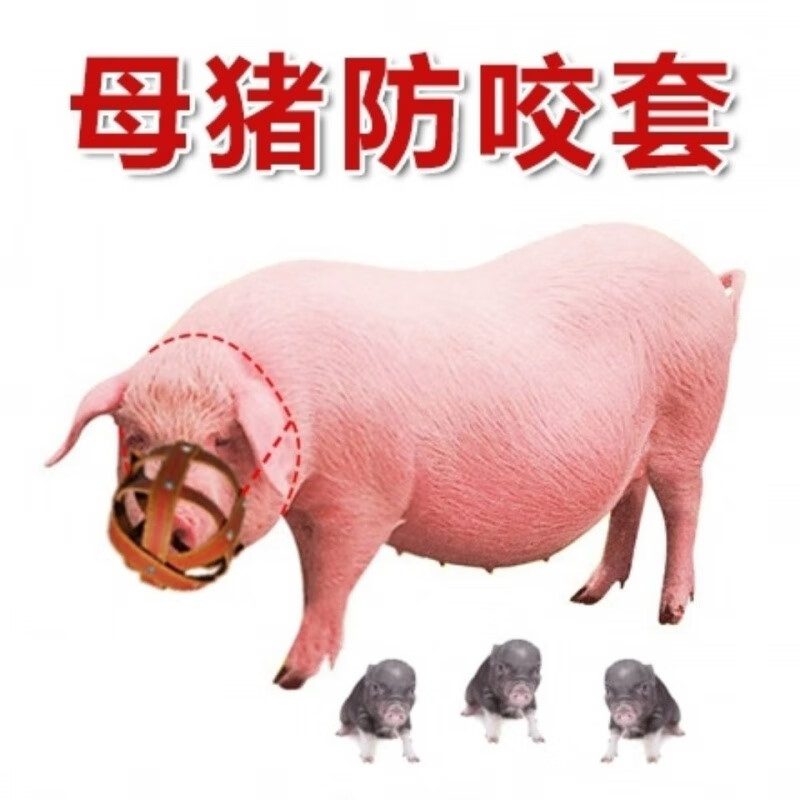 可狄母猪嘴套 母猪防咬套仔猪神器猪嘴套防咬母猪嘴套马牛羊防吃 中号