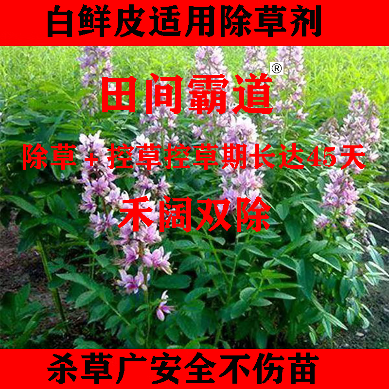 除草剂白鲜皮苗后禾阔双除安全不伤苗厂家直销量大从优田间霸道 1套