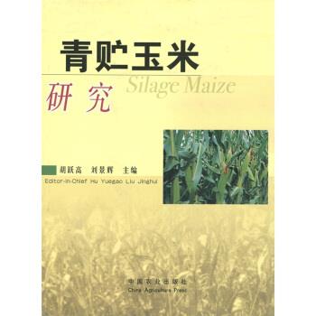 青贮玉米研究