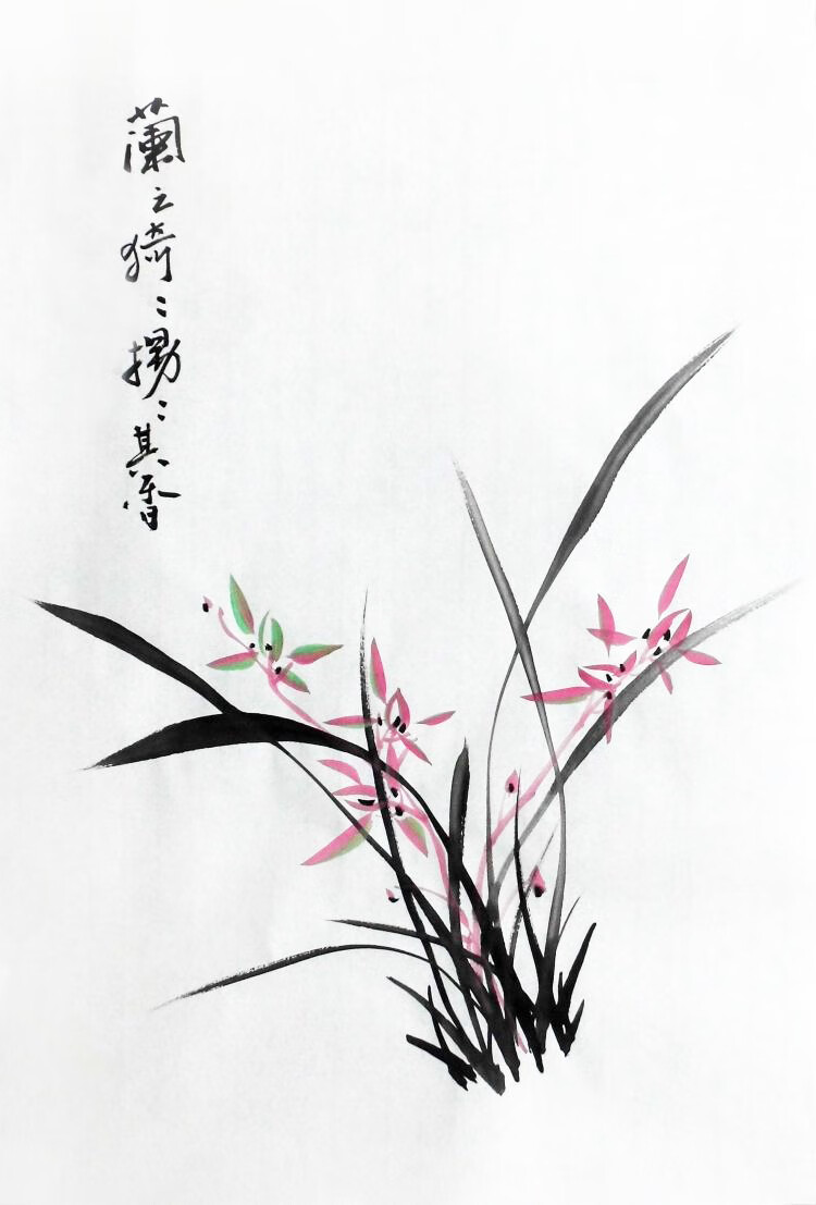 神至 兰花国画成品 国画装饰画书房sn2605 兰之猗猗,扬扬其香 芯34*45