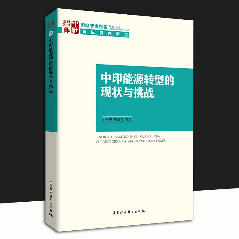 中印能源转型的现状与挑战 王永中,田慧芳