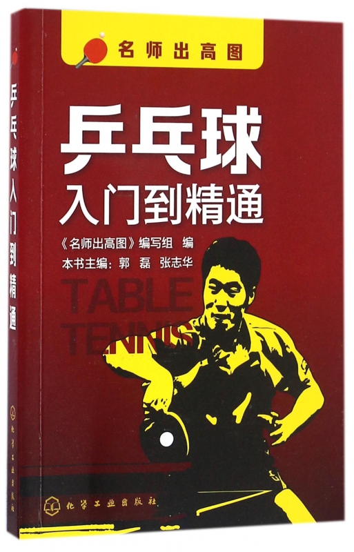 乒乓球入门到精通/名师出高图