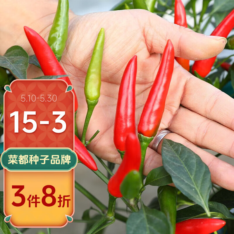 北蔬 辣椒种子大全秧苗特辣朝天指天椒小米椒金螺丝杭椒线椒薄皮 指天