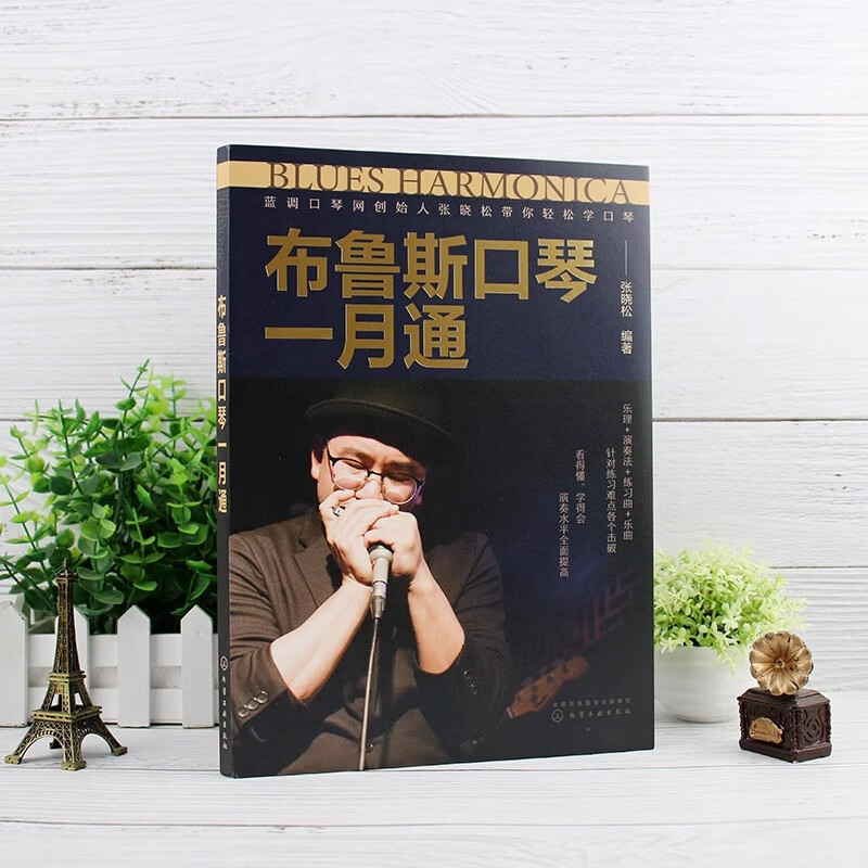 音频 布鲁斯口琴一月通 张晓松 布鲁斯口琴演奏技巧基础入门教程 口琴