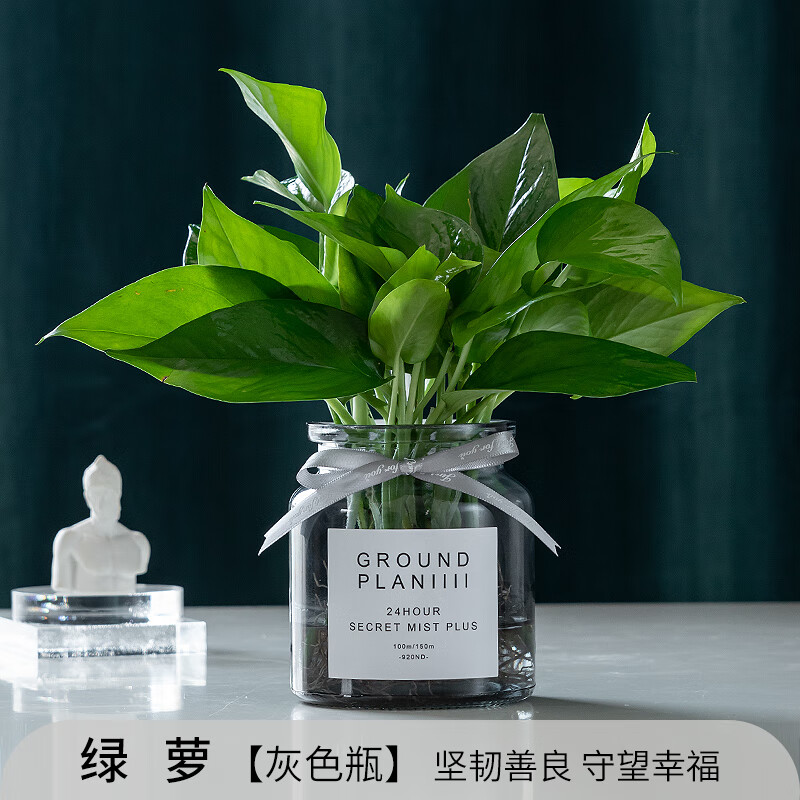 京东新品首发 2023-03-25 - 第12张  | 最新购物优惠券