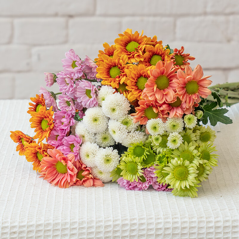 钟爱家庭生活插花组合套餐 随机小雏菊3枝