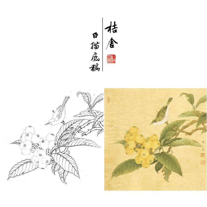 桔舍李晓明工笔画白描底稿枇杷雀鸟方形小品原作大小35*35厘米花鸟