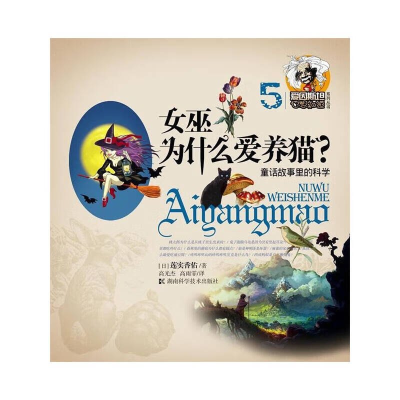 女巫为什么爱养猫