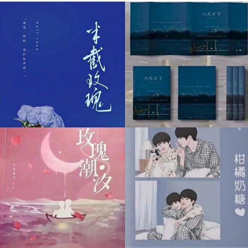 六尺之下/半截玫瑰/柑橘奶糖/玫瑰潮汐 tnt文轩祺鑫翔霖小说书 半截