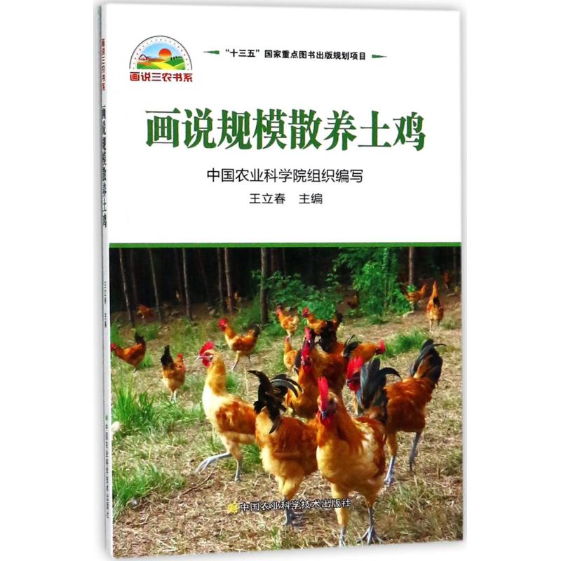 画说规模散养土鸡