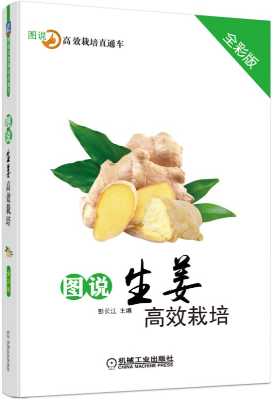 图说生姜高效栽培全彩版 彭长江 概述生姜的整个生产过程 生姜 栽培 病虫害 图说 全彩 种植 图说高效栽培