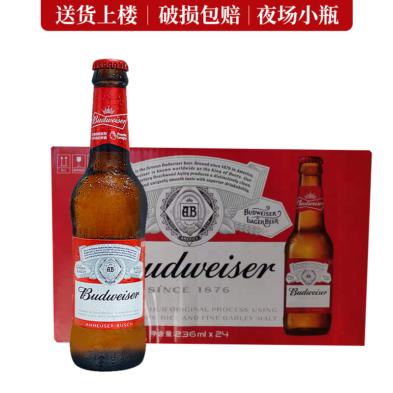 经典美式拉格啤酒 ktv小瓶装黄啤 百威啤酒整箱 小瓶装 236ml 24瓶