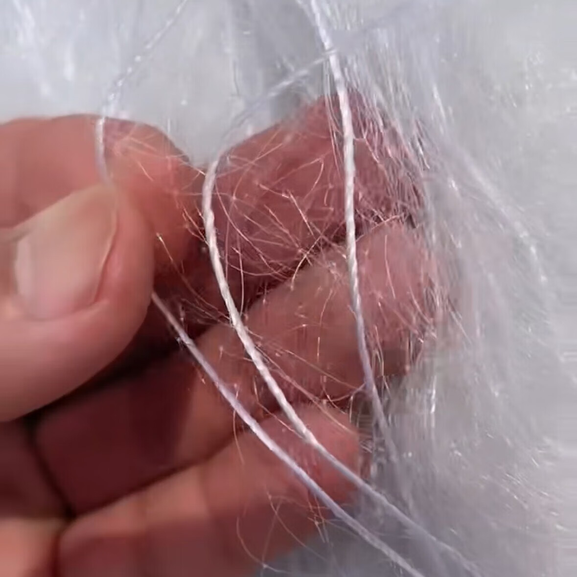 仿真鸡标本竹鸡模型新款竹鸡标本模型摆件仿真竹观赏户外白丝防鸟