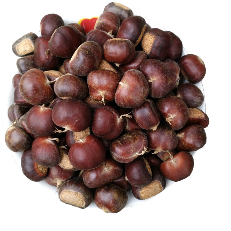 墨之瑶板栗 新鲜板栗 生新鲜燕山小毛栗子 油栗板粟 2斤大栗