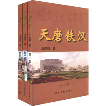 天磨铁汉 王凤翔【正版】