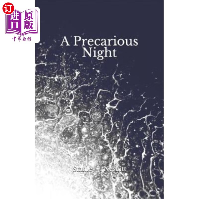 海外直订a precarious night 不稳定的夜晚