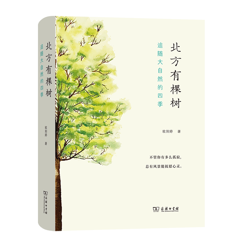 北方有棵树：追随大自然的四季 欧阳婷 著（自然感悟丛书）
