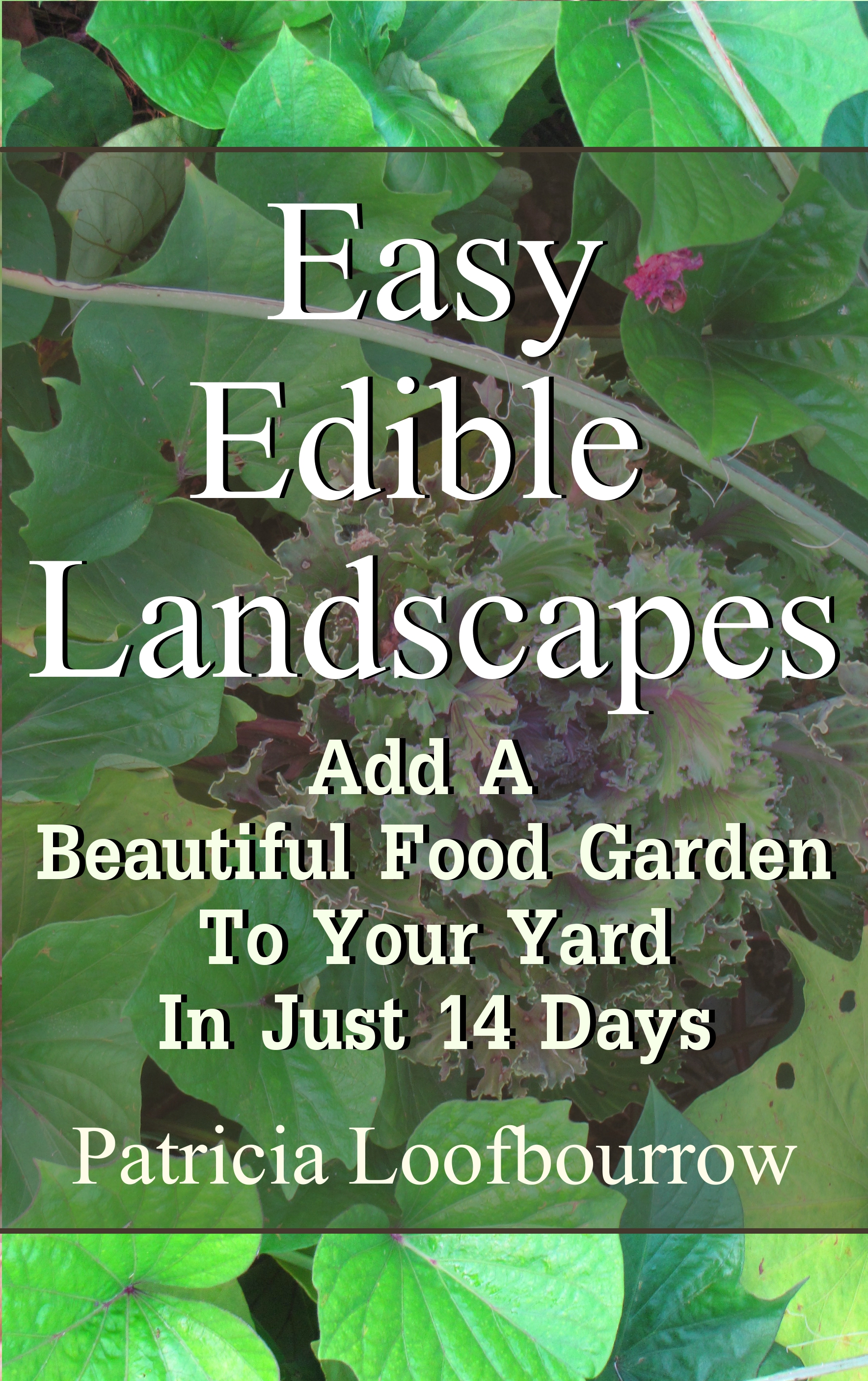 easy edible landscapes: add a beautiful food garden to your yard