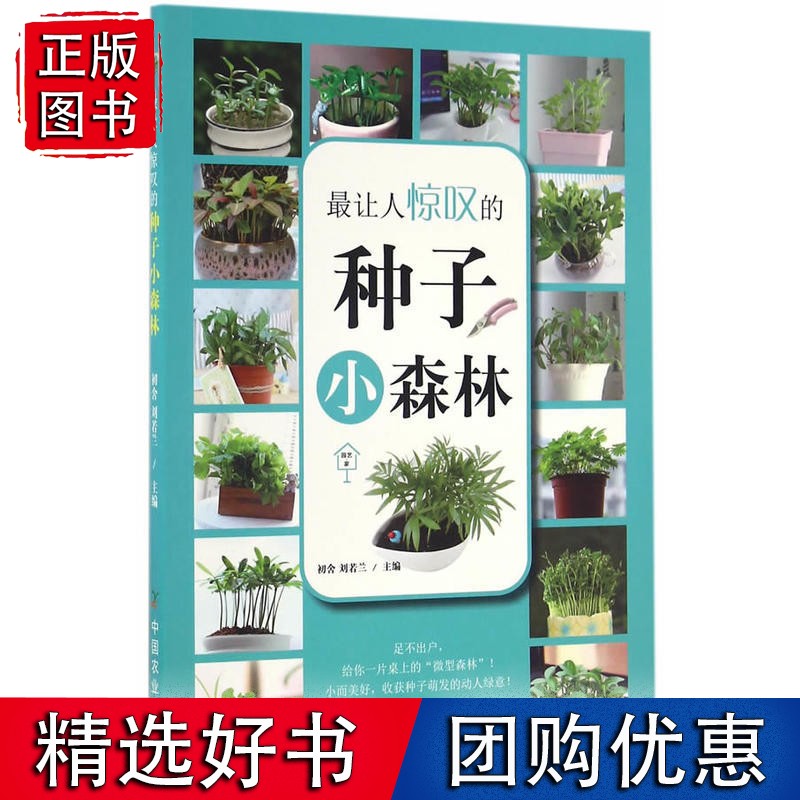 *让人惊叹的种子小森林（园艺·家）