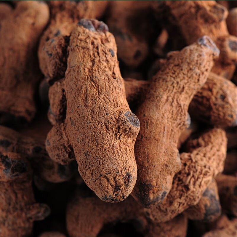 云南血三七野生中药材跌打损伤疼痛泡酒血三七粉可配血竭 血三七500克