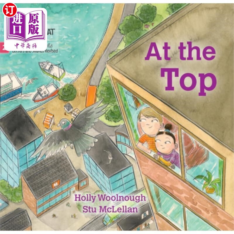 海外直订at the top 高高在上