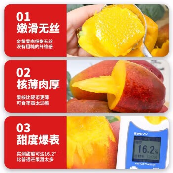 亩家田【树上熟】海南三亚贵妃芒果当季新鲜热带水果红金龙纸核芒整箱 5斤特选大果(更大更甜)单果250-500g