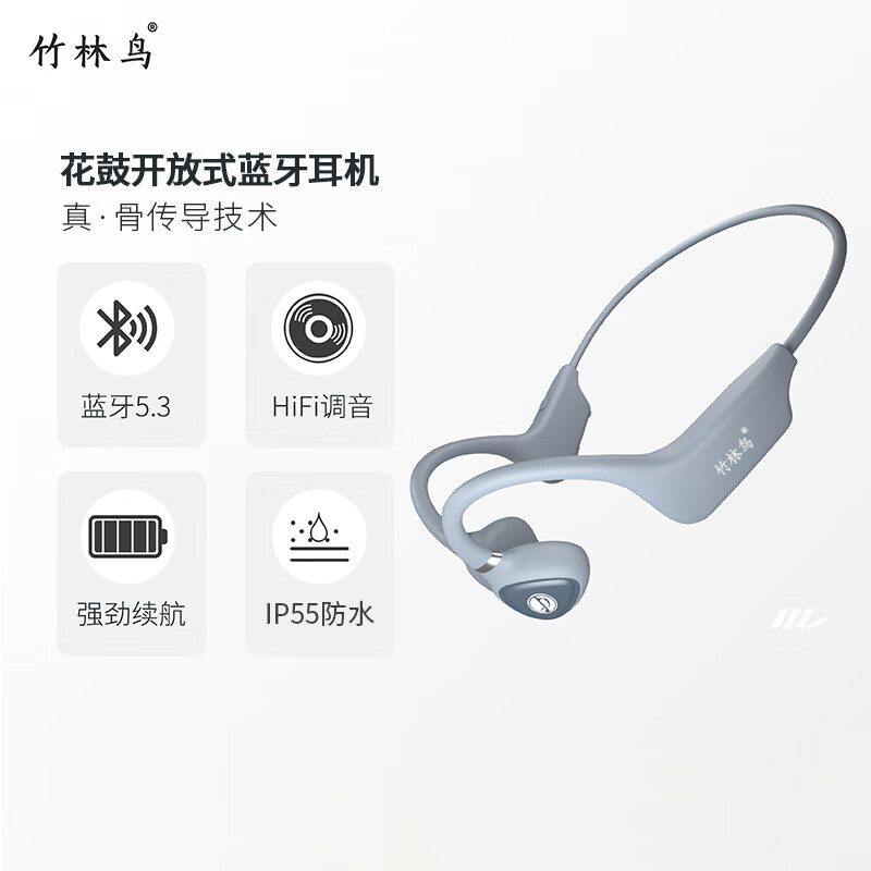 竹林鸟花鼓骨传导蓝牙耳机-价格走势&评测|京东蓝牙无线耳机历史价格查询在哪