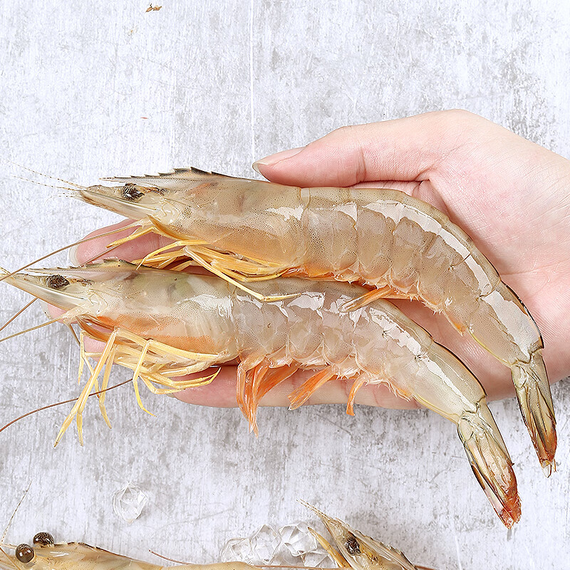 哆鲜生 国产活冻大明虾 南海野生海捕对虾 生鲜速冷船冻可剥虾仁非