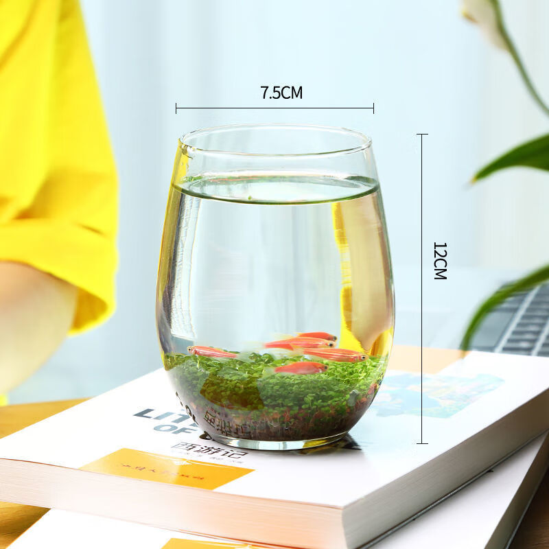 水培微景观绿植套装桌面透明创意玻璃瓶造景鱼缸 鹅蛋玻璃瓶+种子+种植土