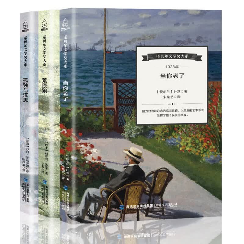 诺贝尔文学奖大系-当你老了/孤独与沉思/荒原狼【全3册】文学经典名著 现当代文学小说