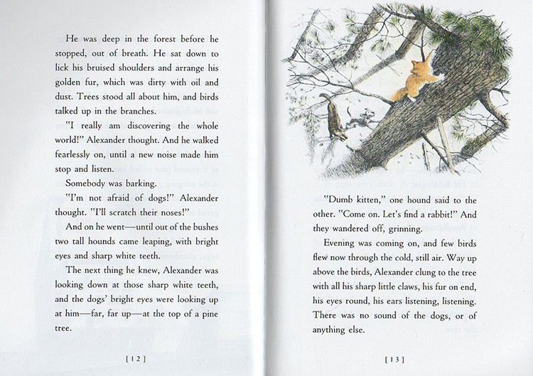 英文原版飞天猫ursula K Le Guin Catwings Tale 2册奇幻童话儿童桥梁章节课外读物 虎窝购