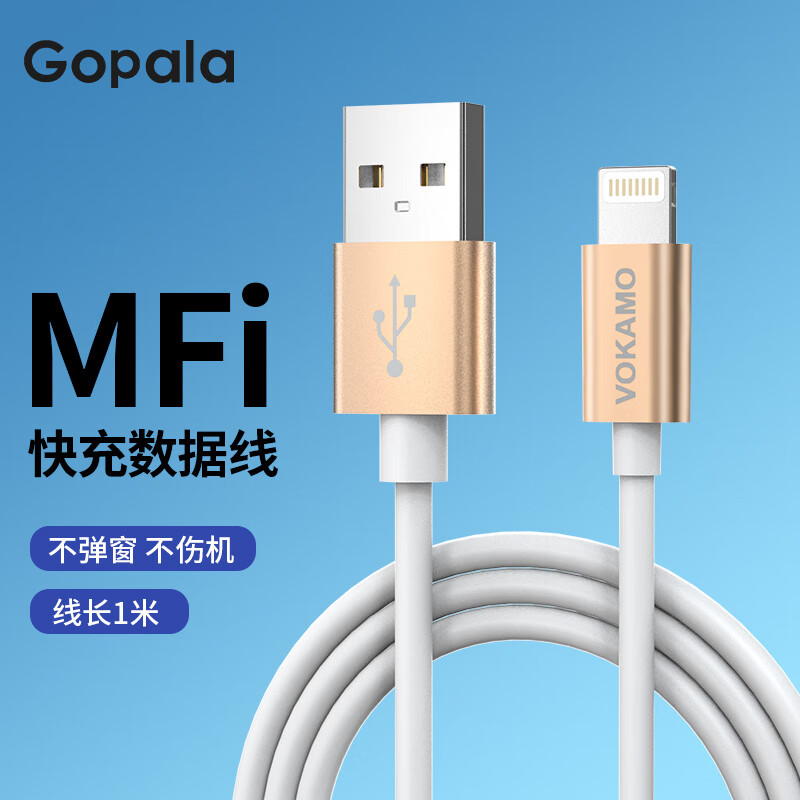 Gopala MFi֤ƻ߿ͨiPhone14/13/12/SE/11/X/8/iPadƽ/miniֻ ƻMFi-1-