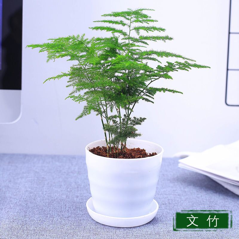 京东拼购商品 2020-08-18 - 第27张 | 最新购物优惠券 京东拼购商品 2020-08-18 - 第27张 | 最新购物优惠券