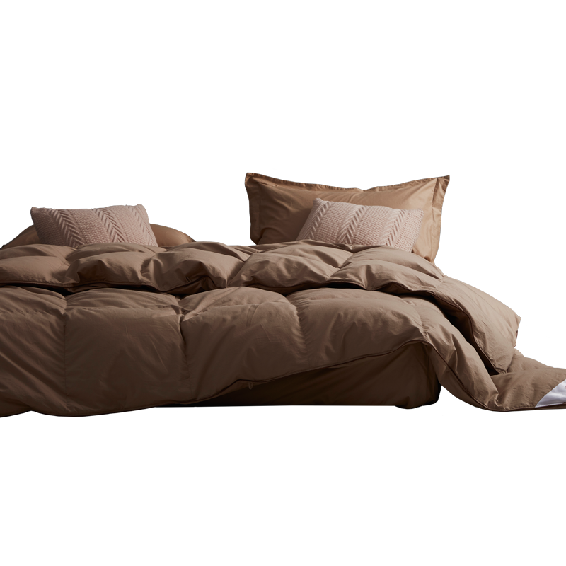 ˹ŵ���ߵ�100֧����95%�׶������޴��ﱻо�յ�����2.0*2.3m��510g����