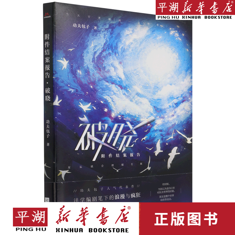 【新华书店正版书籍】附件结案报告(破晓)