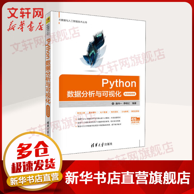 Python数据分析与可视化 微课视频版