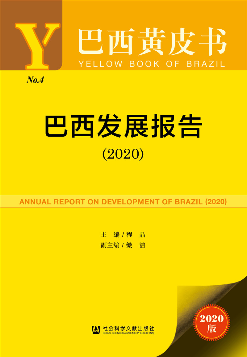 巴西黄皮书：巴西发展报告（2020）