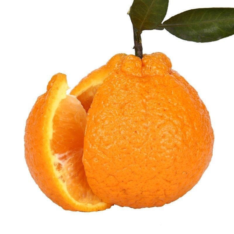 丑橘不知火高原丑橘新鲜水果橘子当季新鲜水果丑柑孕妇丑八怪桔子 净重精选 3斤（尝个鲜）