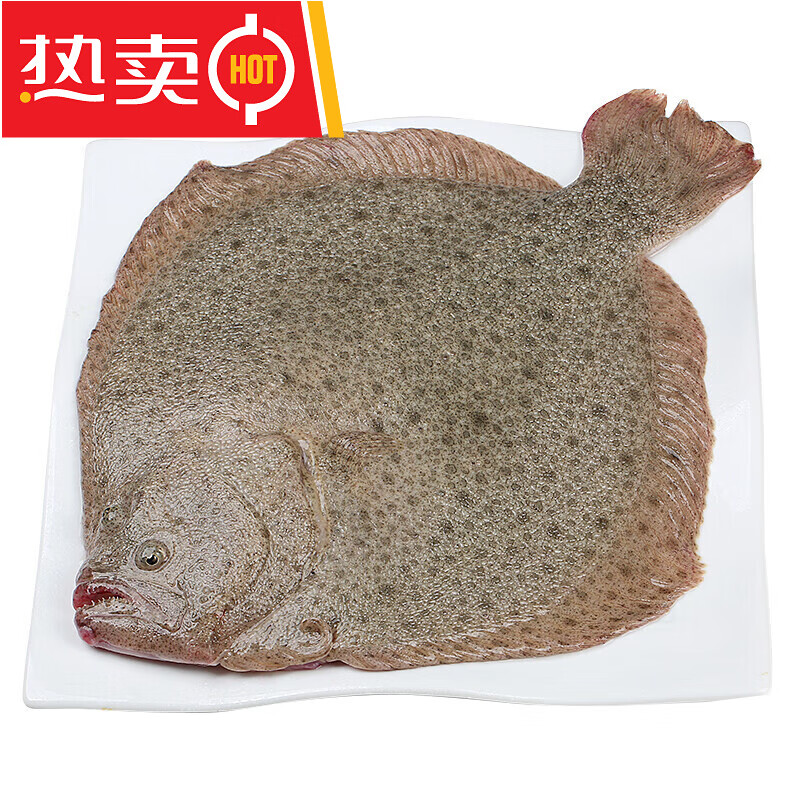 鸦片鱼为什么叫鸦片鱼