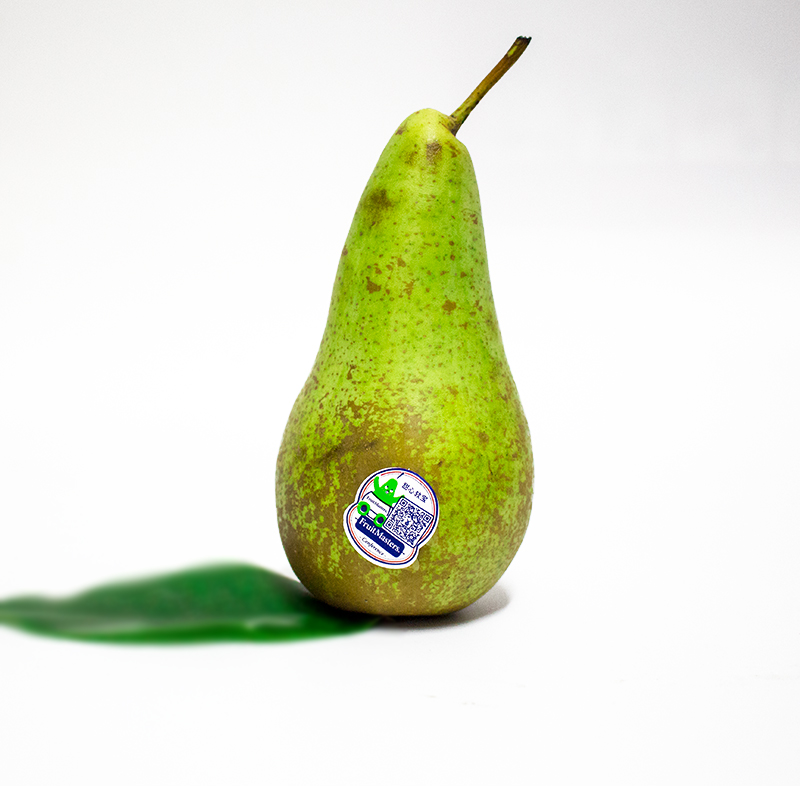 比利时进口啤梨4斤欧洲安琪青啤梨新鲜水果鲜果 4斤