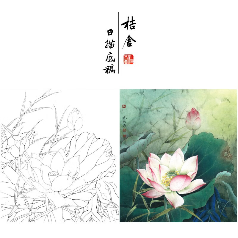 工笔画底稿白描底稿初学者临摹国画荷花原大尺寸白描含步骤图防水大