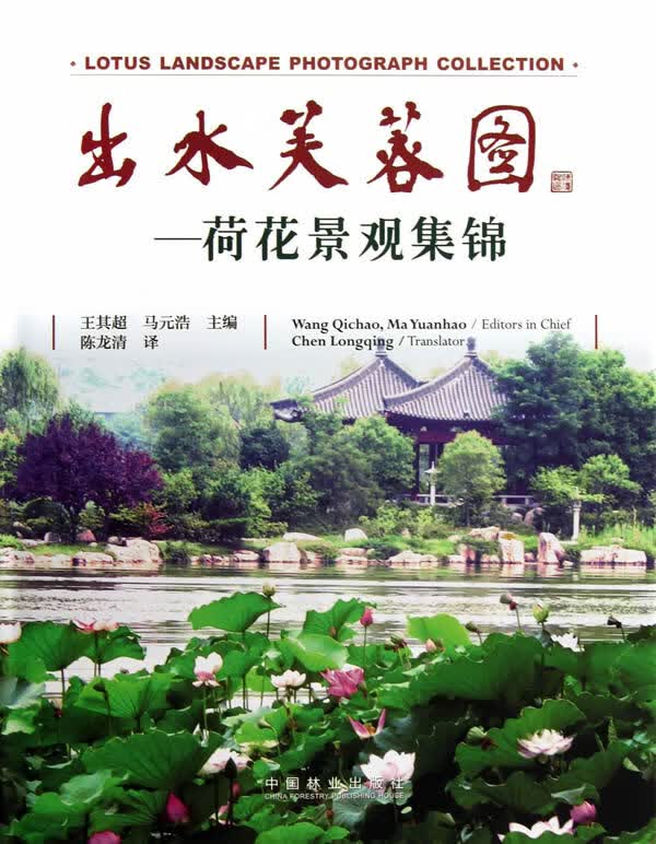 出水芙蓉图—荷花景观集锦