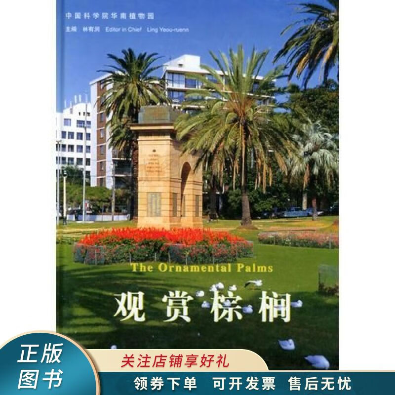 观赏棕榈精