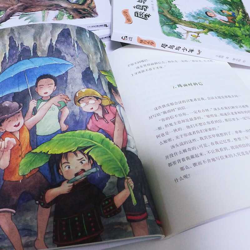 国门小学系列 全5册 佤乡等信来犀鸟与少年凤凰花下的呼唤 童眸中的彩虹童年里的木偶戏童书节儿童节 二十一世纪出版社