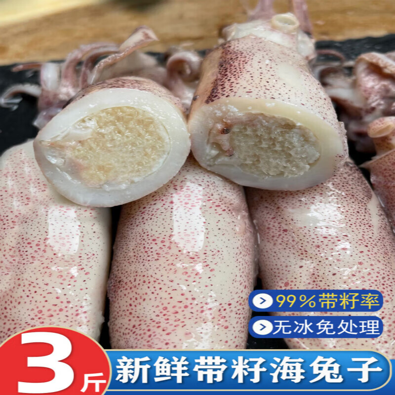 十里馋 江苏连云港海兔子满籽笔管鱼鲜活冷冻籽乌章鱼新鲜墨鱼仔海鲜