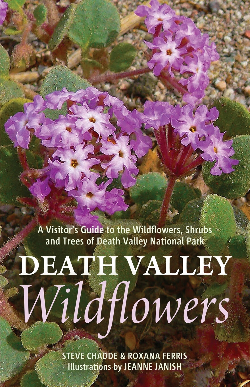 【预售 按需印刷】death valley wildflowers