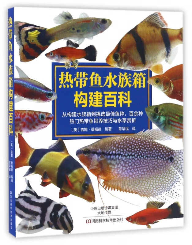 热带鱼水族箱构建百科