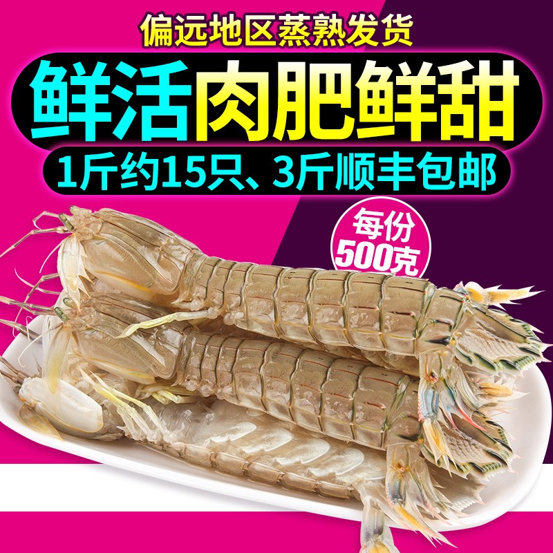 【全母虾】三座海 大皮皮虾鲜活 1000g 烟台新鲜虾姑 虾爬子 濑尿虾 皮皮虾鲜活 海鲜水产海虾