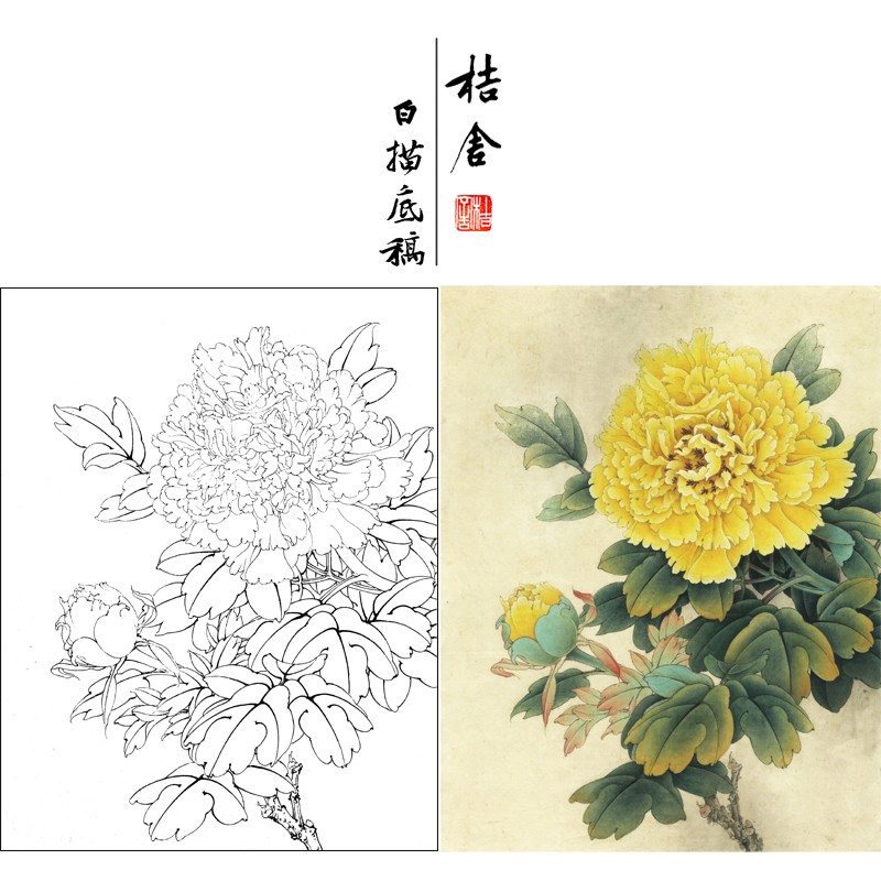 桔舍李晓明工笔画白描底稿牡丹小品原大35×45厘米花鸟线稿带a3步骤图